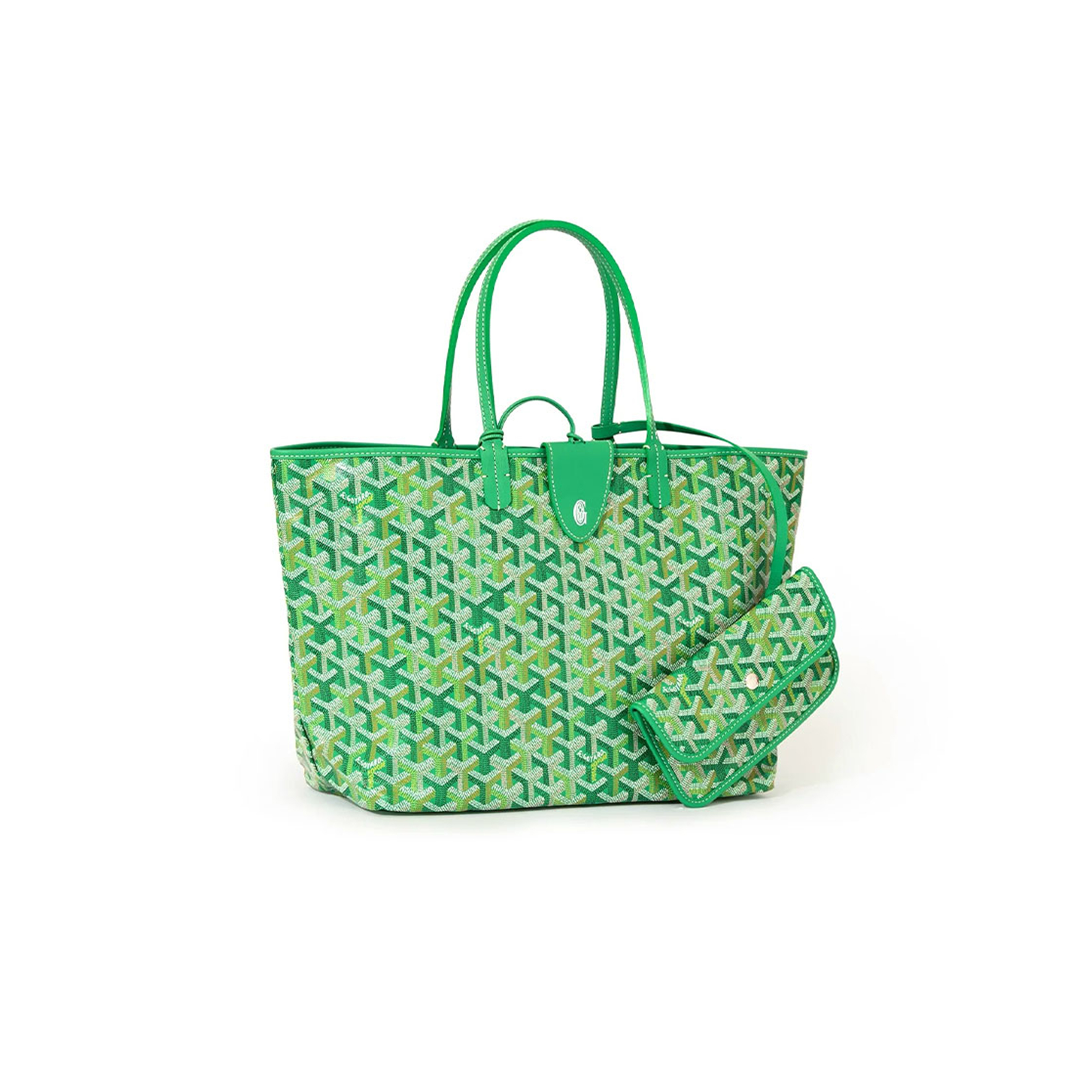 GOYARD SAINT LOUIS PM BAG MULTICOLOURED STLCROPMLTY72CL69P (34*28*15cm)